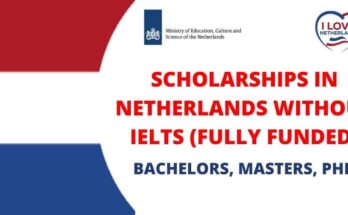 Scholarships Without IELTS
