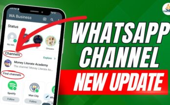 📲 Helping You Find More Channels and Businesses on WhatsApp in 2025